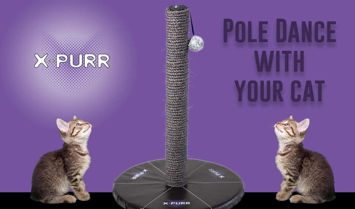 pole-with-your-cat-x-purr